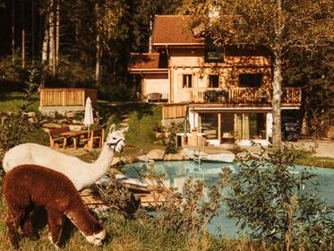 Chalets im Chaletdorf Landgut Moserhof
