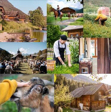 Instagram Landgut Moserhof